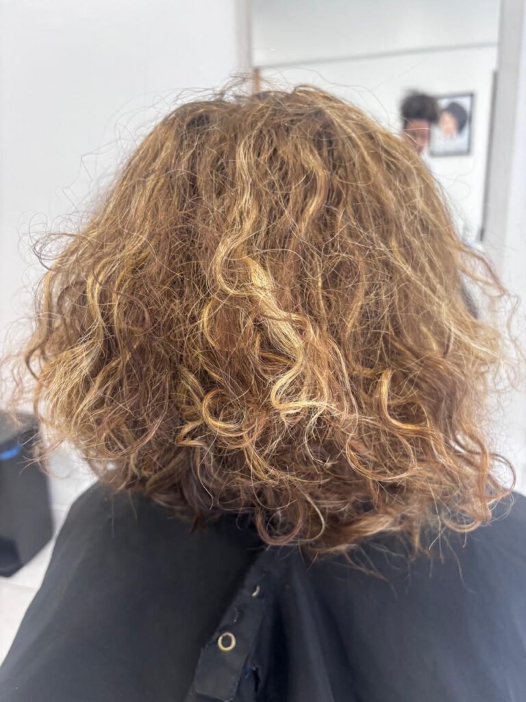 Cabelo antes: fios ressecados e sem forma definida.